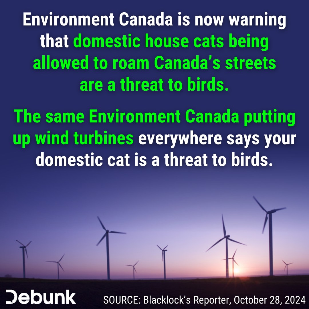 Cats are a Threat to Birds